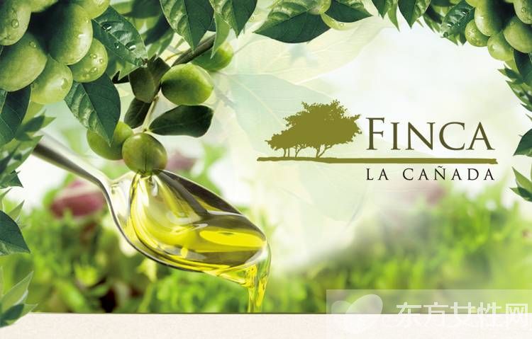 橄榄油的作用及功效 上好的橄榄油要怎么挑选?