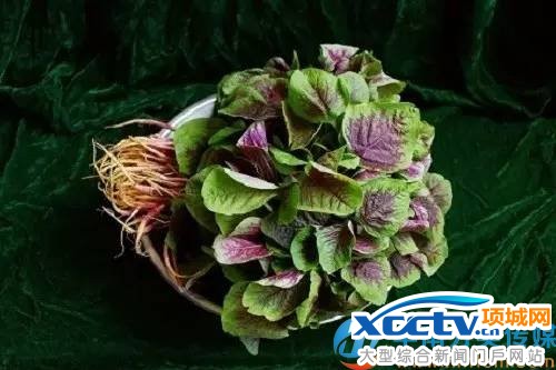 ������� ��ζ��ʽ�����＾