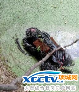 �Ͼ������ְ�ש��Ůʬ Ů��˫�ȶ�ʧɢ����� ��������3����������[��ͼ]