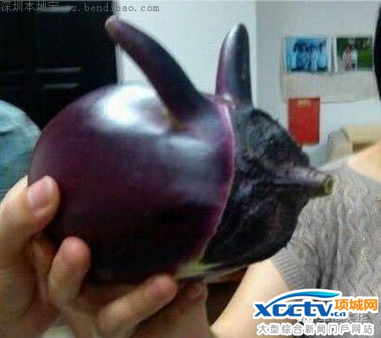 ����ڶ�������Щ�������Ц����ȫ