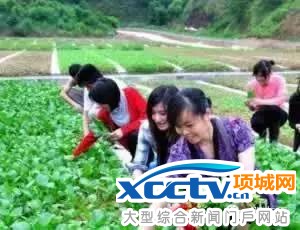 �����ϰ������Щ���������³��±�