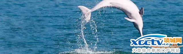 港珠澳大桥主体桥梁贯通 港珠澳大桥有多牛?