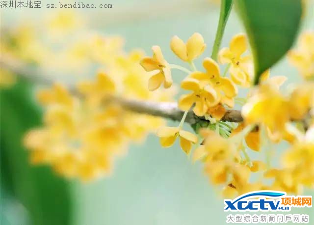 �������� ����ϰ������ʫ����֪���٣�