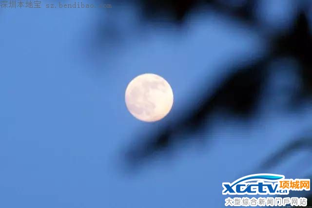 �������� ����ϰ������ʫ����֪���٣�