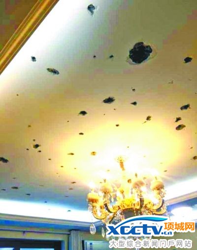 新房屋顶惊现60多个大小窟窿