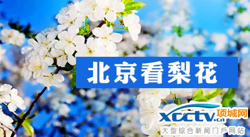 2014����ֲ��԰�һ���ʱ����Ʊ����ָͨ��(ͼ)