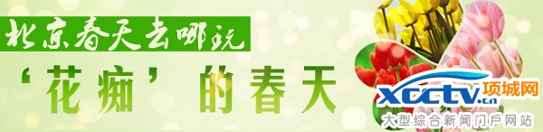 2014����ֲ��԰�һ���ʱ����Ʊ����ָͨ��(ͼ)