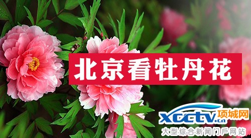 2014����ֲ��԰�һ���ʱ����Ʊ����ָͨ��(ͼ)