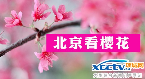 2014����ֲ��԰�һ���ʱ����Ʊ����ָͨ��(ͼ)