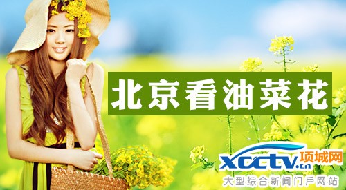 2014����ֲ��԰�һ���ʱ����Ʊ����ָͨ��(ͼ)