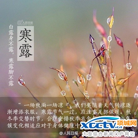 寒露节气 寒露养生 寒露是什么意思 寒露吃什么 寒露诗词
