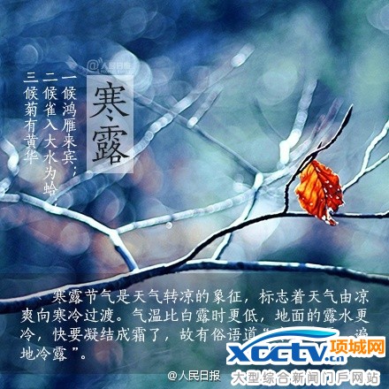 寒露节气 寒露养生 寒露是什么意思 寒露吃什么 寒露诗词