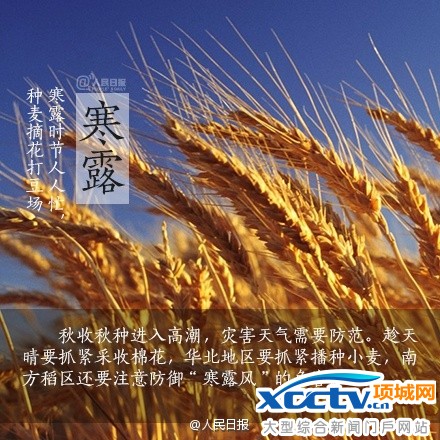 寒露节气 寒露养生 寒露是什么意思 寒露吃什么 寒露诗词