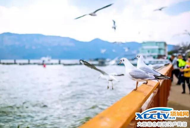 ��������Ԥ��12��26�տ�ͨ �˼��ɾ��θ���