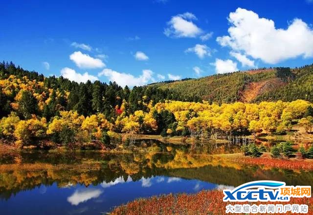 ��������Ԥ��12��26�տ�ͨ �˼��ɾ��θ���