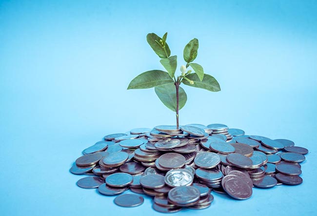 plant growing out of coins with filter effect retro vintage style