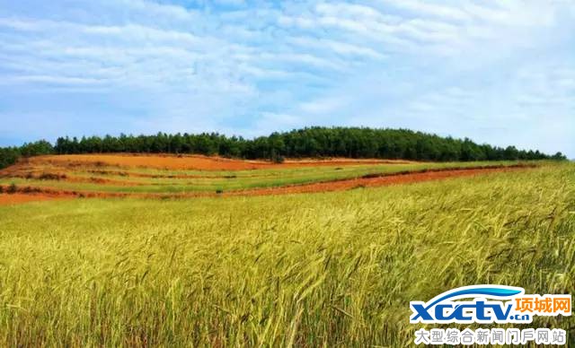 ��������Ԥ��12��26�տ�ͨ �˼��ɾ��θ���