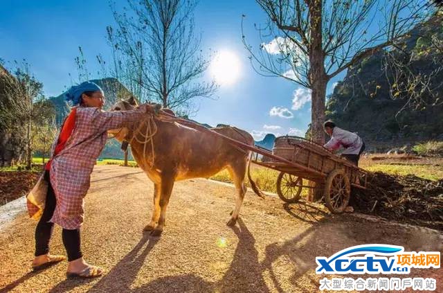 ��������Ԥ��12��26�տ�ͨ �˼��ɾ��θ���