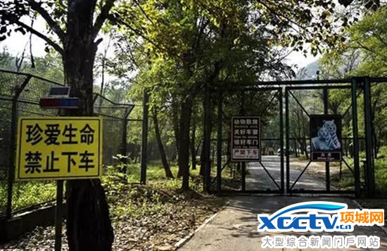 游客遭老虎袭击事件