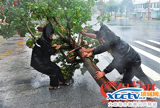 18日,海南琼中城管大队工作人员在风雨中清理被吹倒树木