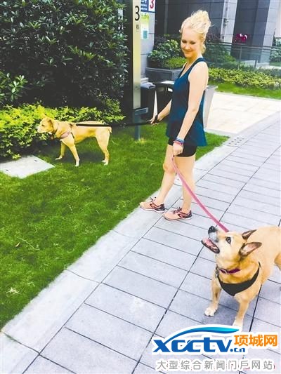 �ɶ�����Ⱥְҵ&ldquo;���޹�&rdquo;һ�����ΰ��޹�һ��100Ԫ