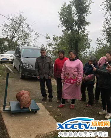 ���ްԺ���