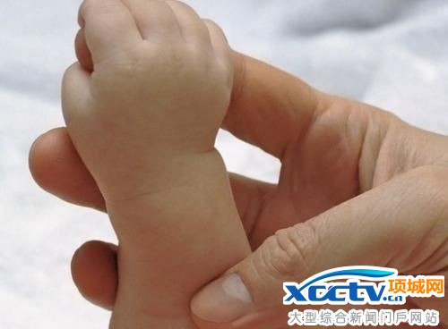 ������̥��������