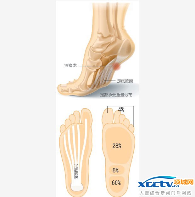 为了让拖鞋不离开脚,小腿肌肉会更费力地维持脚底与拖鞋的密合度,脚部