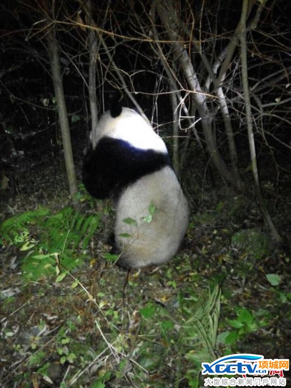 ����è��Խ�Ĵ�ˮ��վ������ˮ ��ҵ�֣���������Ӿ