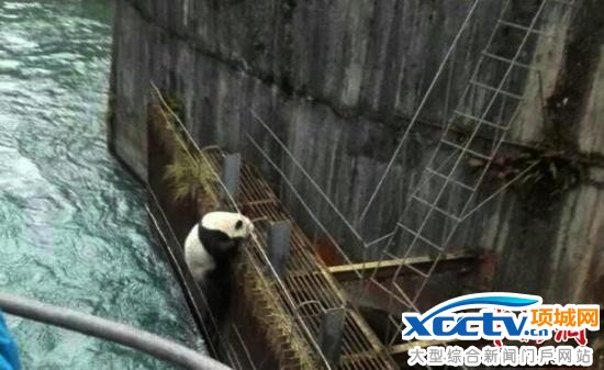 ����è��Խ�Ĵ�ˮ��վ������ˮ ��ҵ�֣���������Ӿ