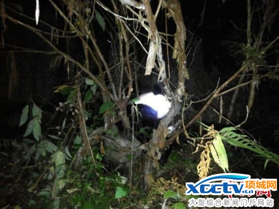 ����è��Խ�Ĵ�ˮ��վ������ˮ ��ҵ�֣���������Ӿ