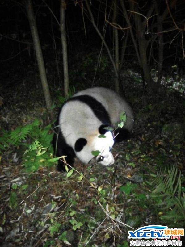 ����è��Խ�Ĵ�ˮ��վ������ˮ ��ҵ�֣���������Ӿ