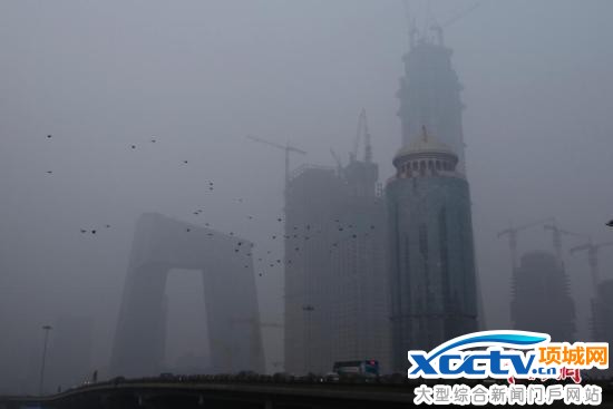 �й��Ա������ִ�Χ������Ⱦ���� ������ר���