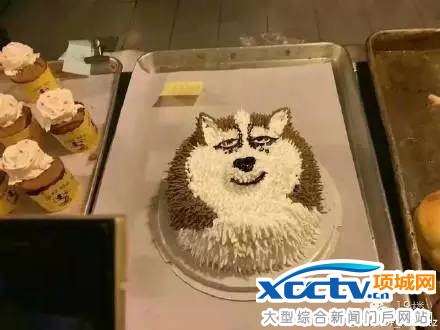 ʳ����ɰ������� ����Ī�������