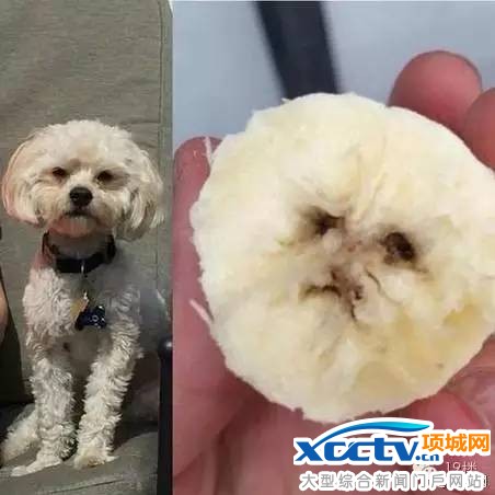 ʳ����ɰ������� ����Ī�������