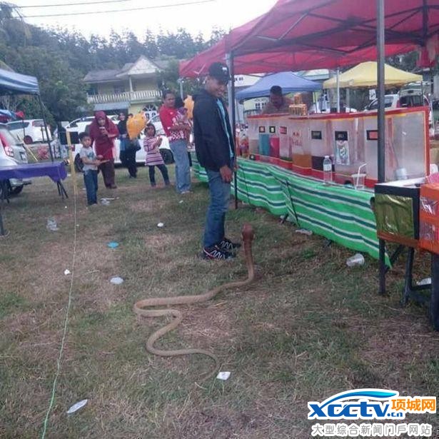 男子娶蛇为妻,夫妻生活十分幸福