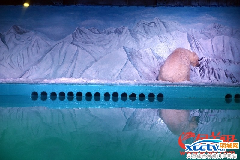 ����Ψһ�������뿪���Ѽ��غ������� �ص����ĳ�����