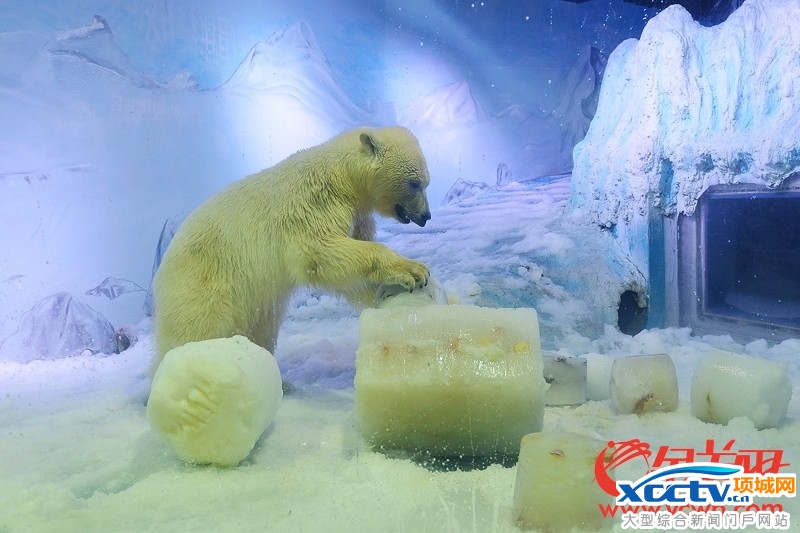 ����Ψһ�������뿪���Ѽ��غ������� �ص����ĳ�����