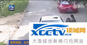 北京遭老虎袭击女子索赔155万:母亲救我属见义勇为