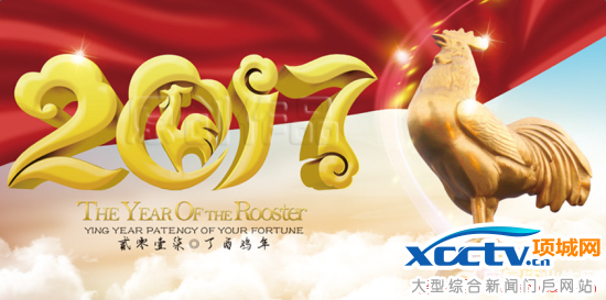 ����Ժ����2017��Ԫ���żٰ���