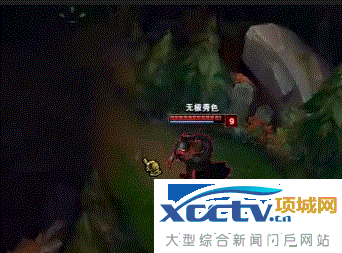 Rookie直播吹王思聪