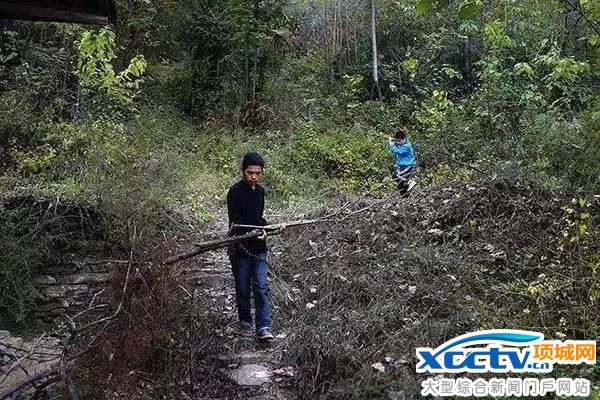 父母患病去世 孤儿兄弟家里只剩15个土豆