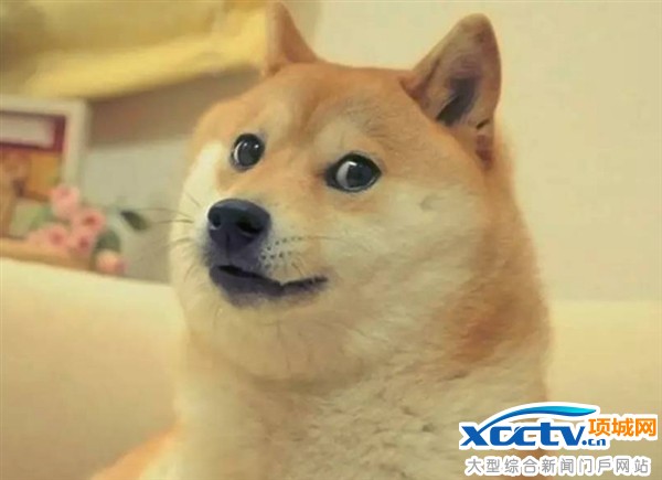 中国十大“单身狗”聚集地地图:看看有你家吗?