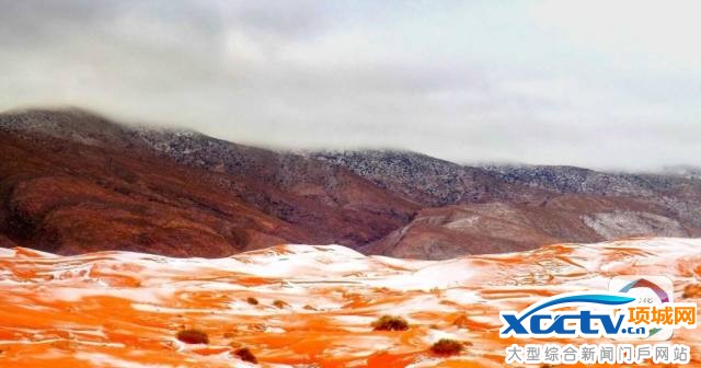 撒哈拉沙漠下雪