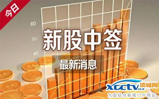 新股中签