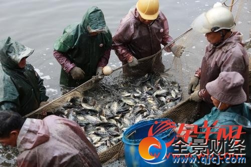 华工喊你回学校免费吃鱼