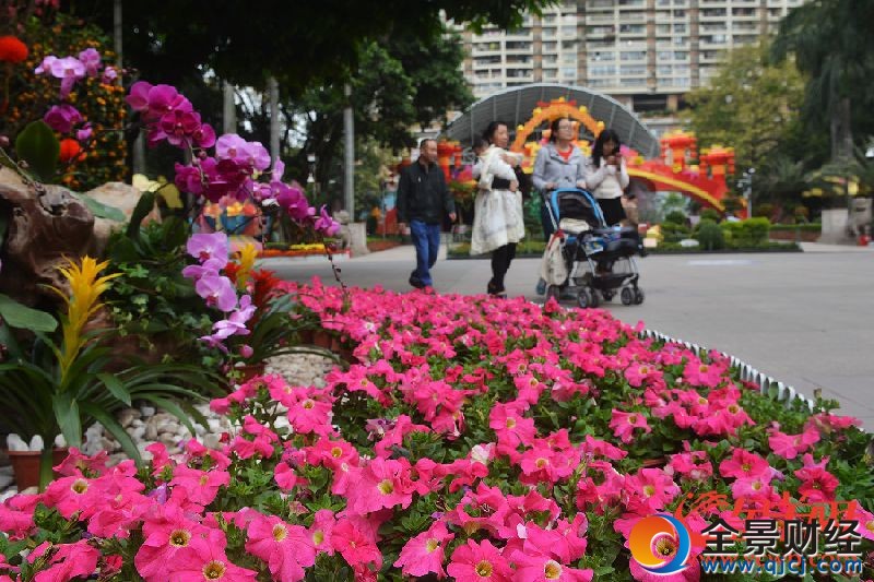 �����Ļ���԰�ٰ�2017��ӭ������