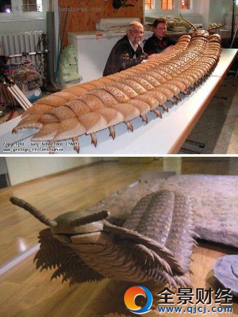 组图:10大巨型昆虫 史前蜈蚣虫体宽2米多