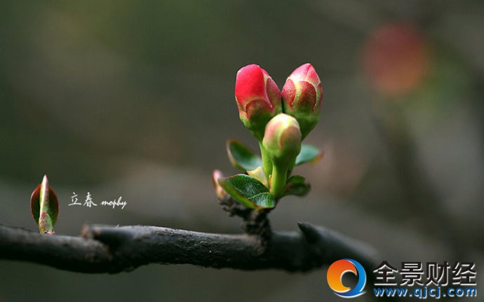 2017年立春什么时候 2017年立春时间 立春习俗