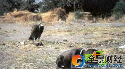 胆小者慎入!史上最诡异至极的10张老照片